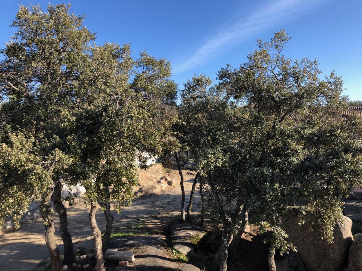Finca El Olivo Ituero y Lama エクステリア 写真